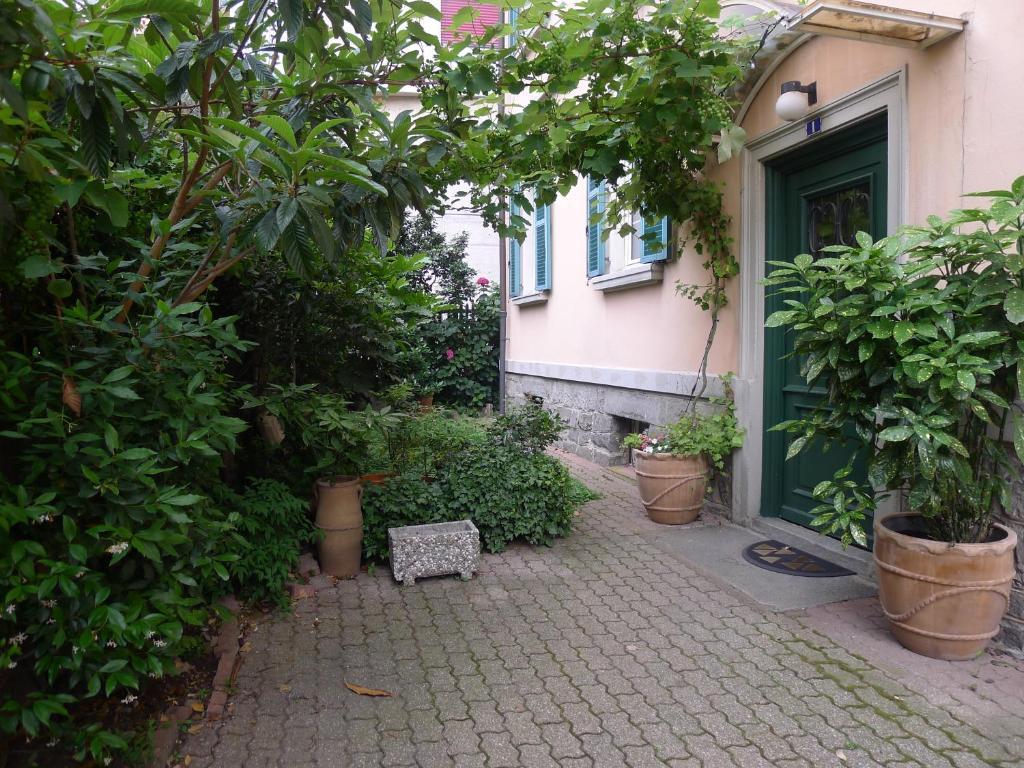 Casa Jolanda Apartment Bellinzona Exterior photo